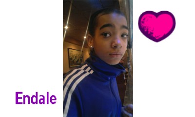 Afbeelding van endale