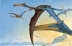 Afbeelding van Quetzalcoatlus