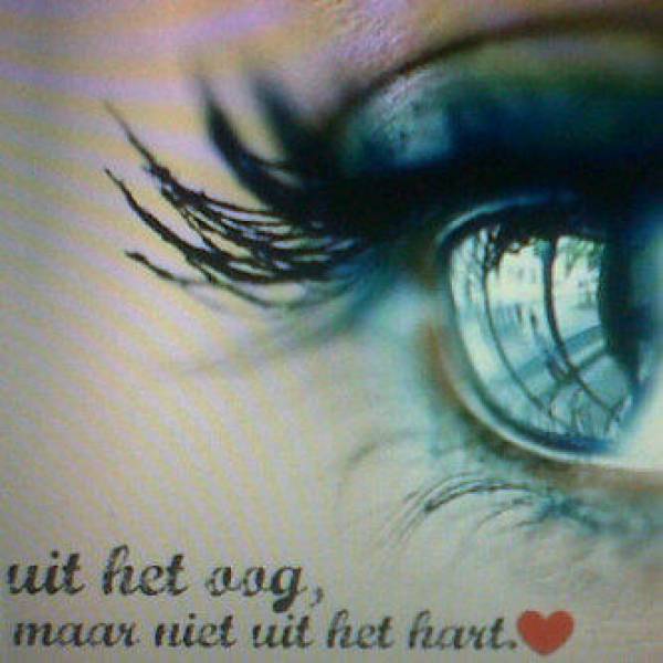 uit het oog gedicht door merel98 uit het oog gedicht door merel98