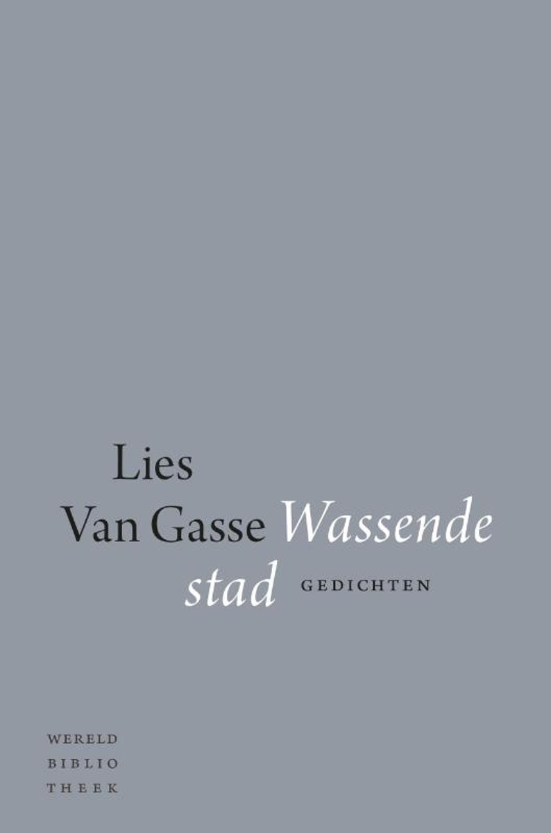 Wassende stad