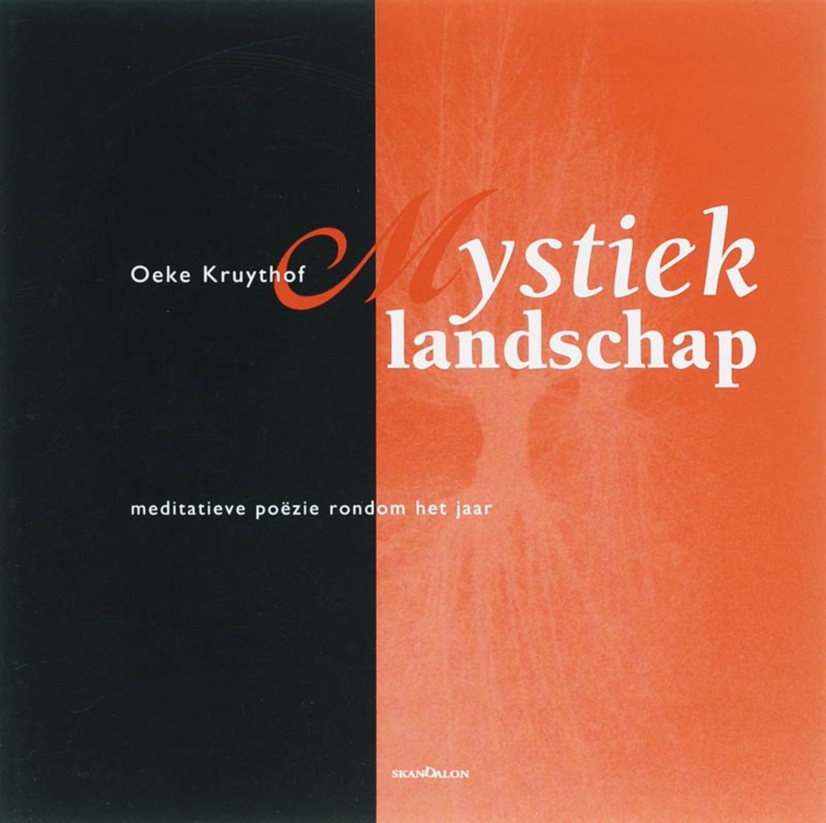 Mystiek landschap