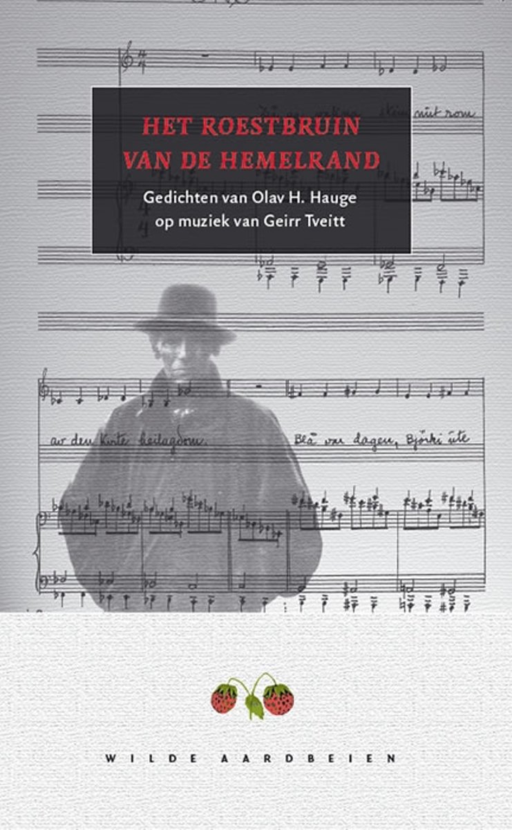 Het Roestbruin Van De Hemelrand
