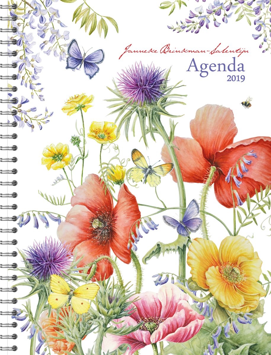 Janneke Brinkman Agenda 2019