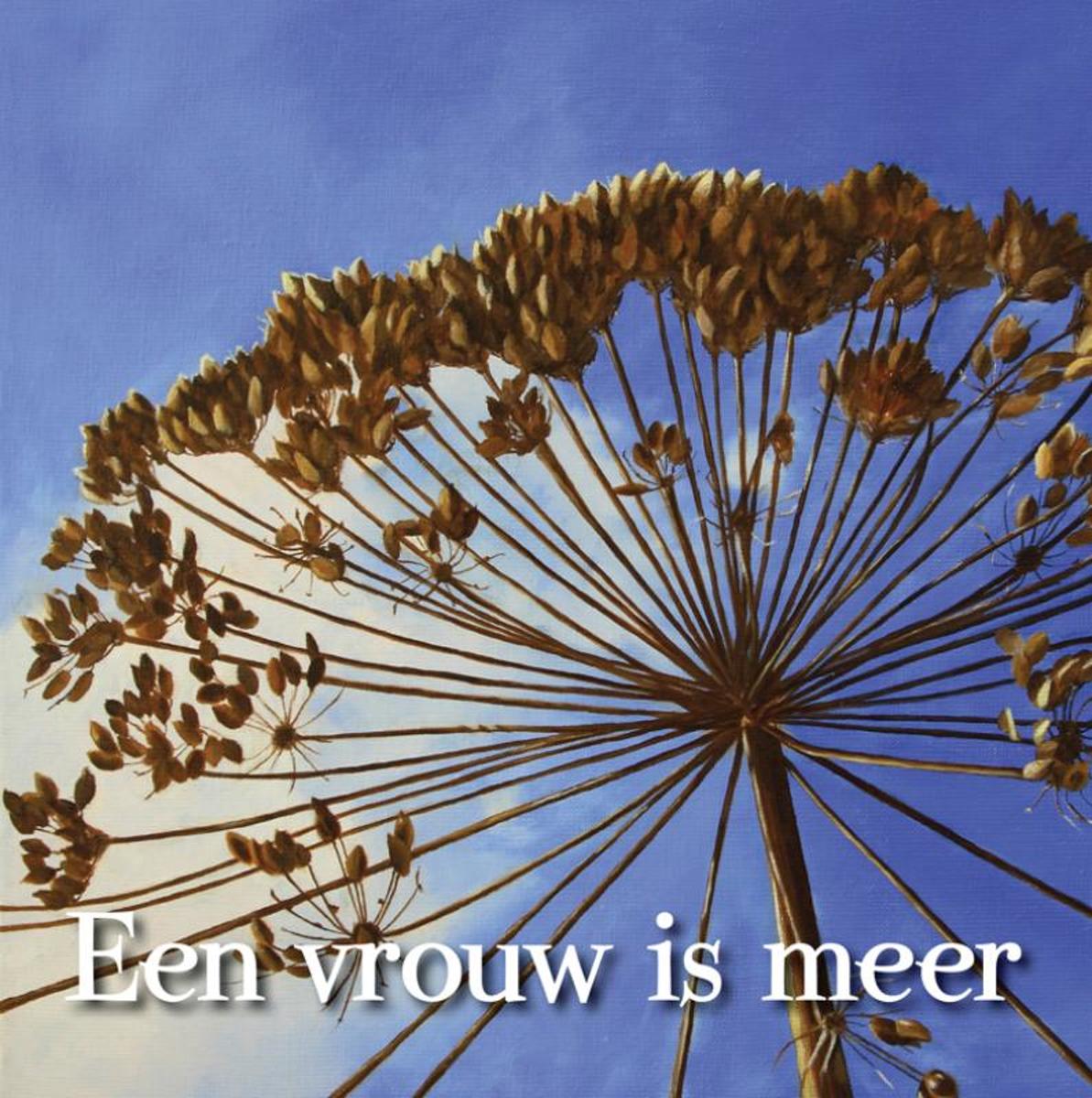 Een vrouw is meer