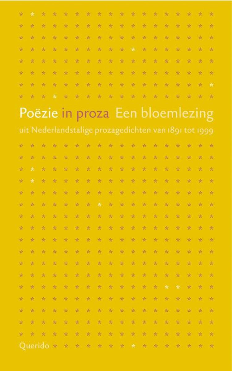 Poezie in proza