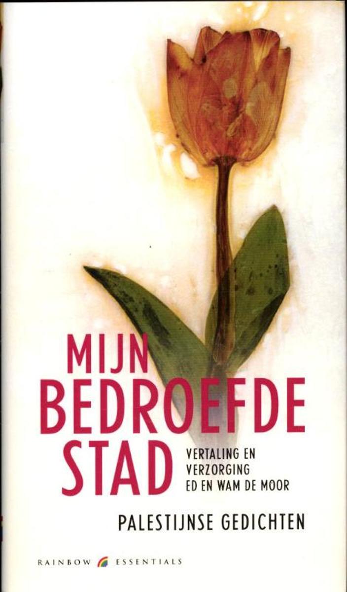 Mijn Bedroefde Stad
