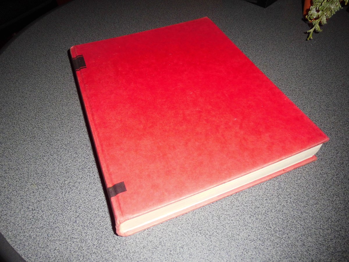 Groot verzenboek