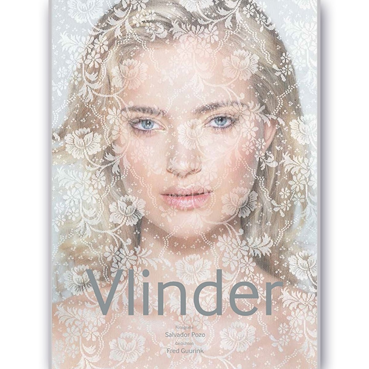 Vlinder