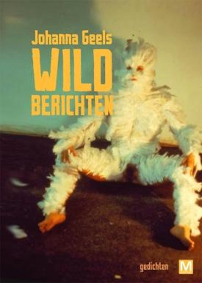 Wildberichten