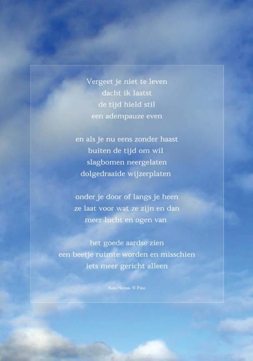 Raamgedicht Plint Hermis 'Vergeet je niet te leven' incl. set zuignapjes 2001/01C1