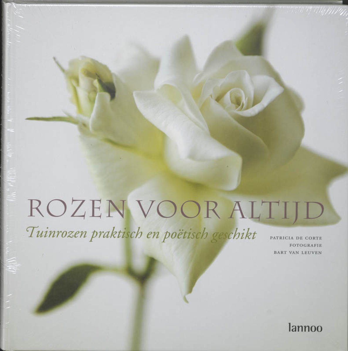 Rozen voor altijd