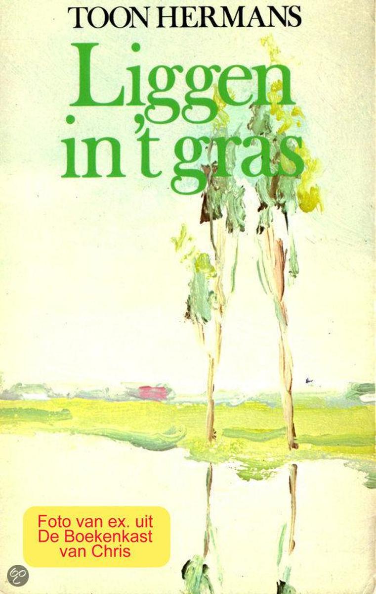 Liggen in het gras