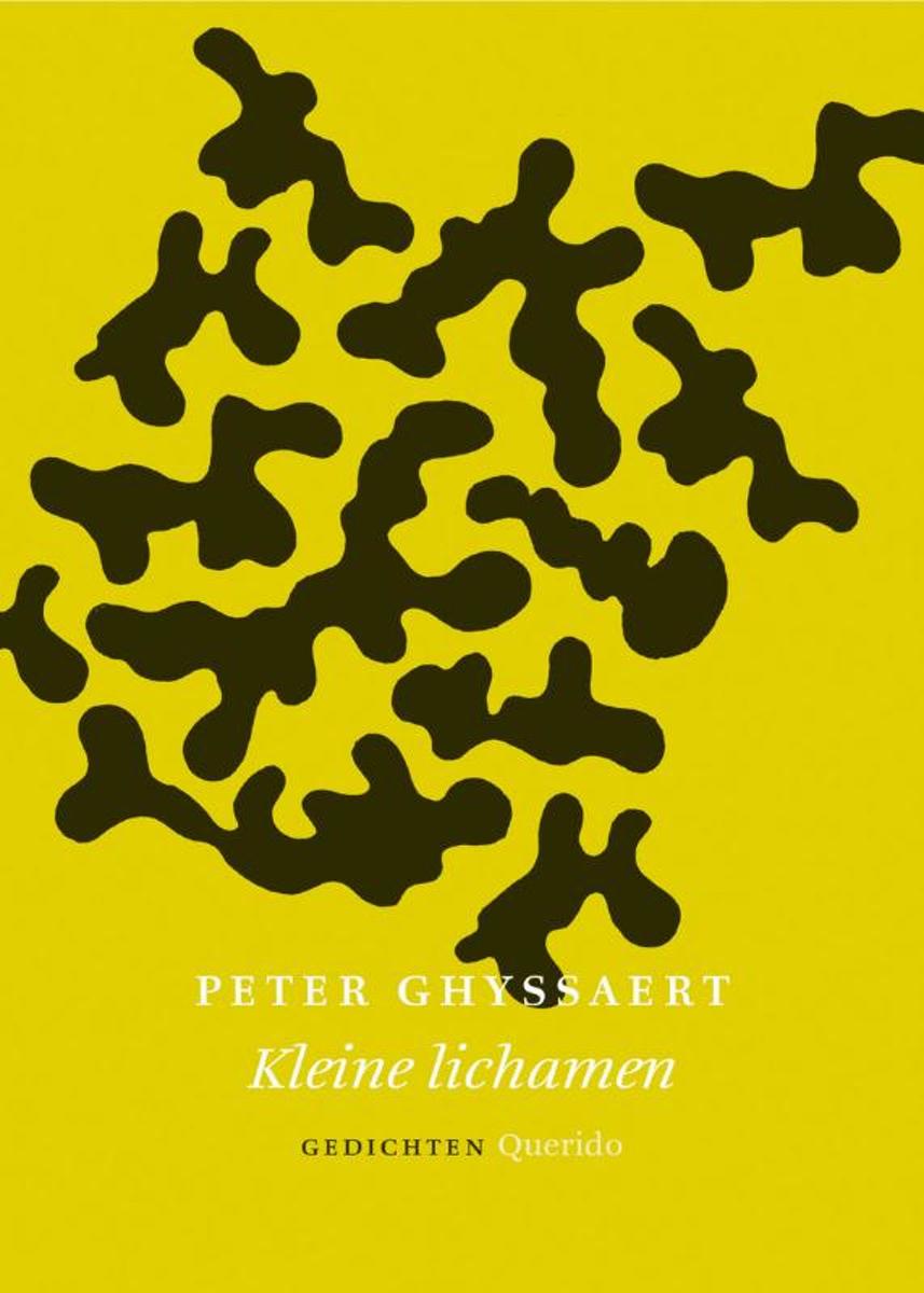 Kleine lichamen