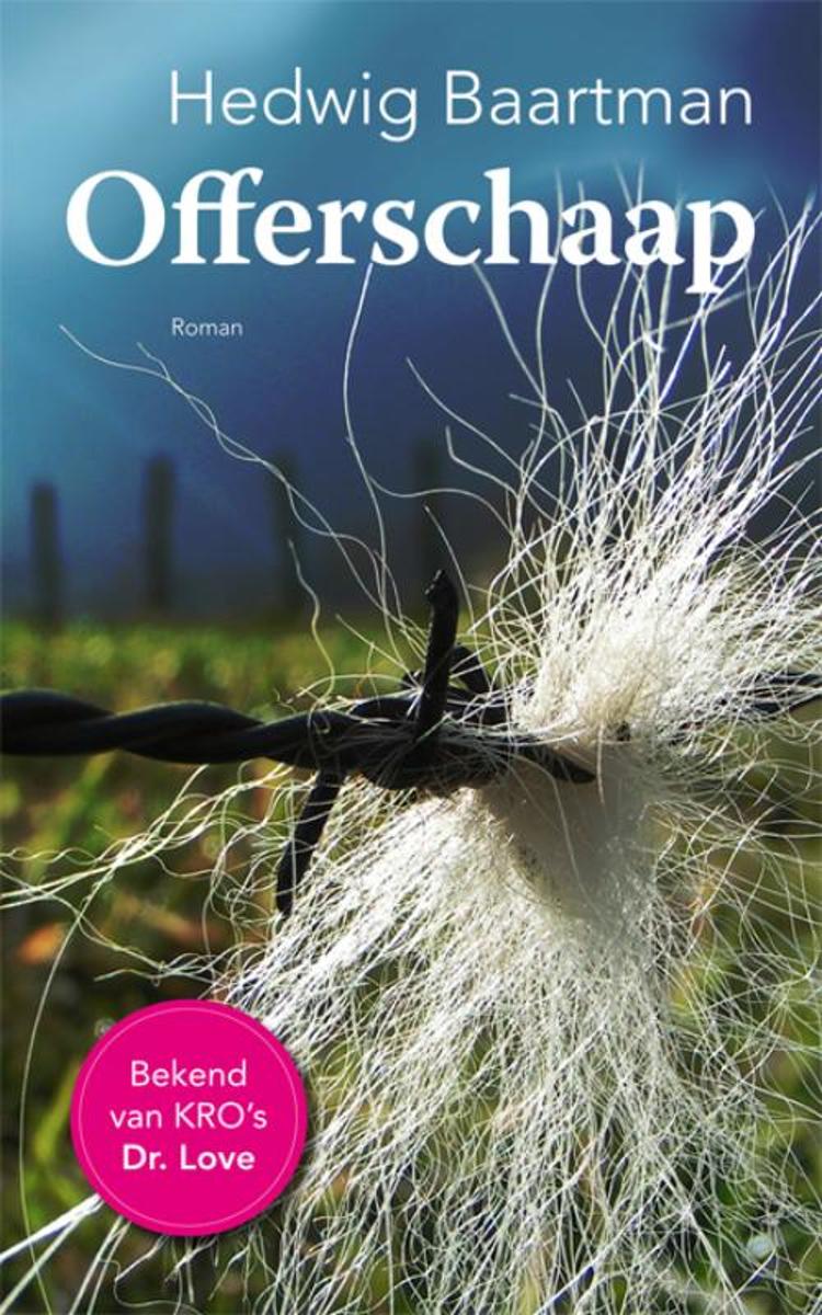 Offerschaap