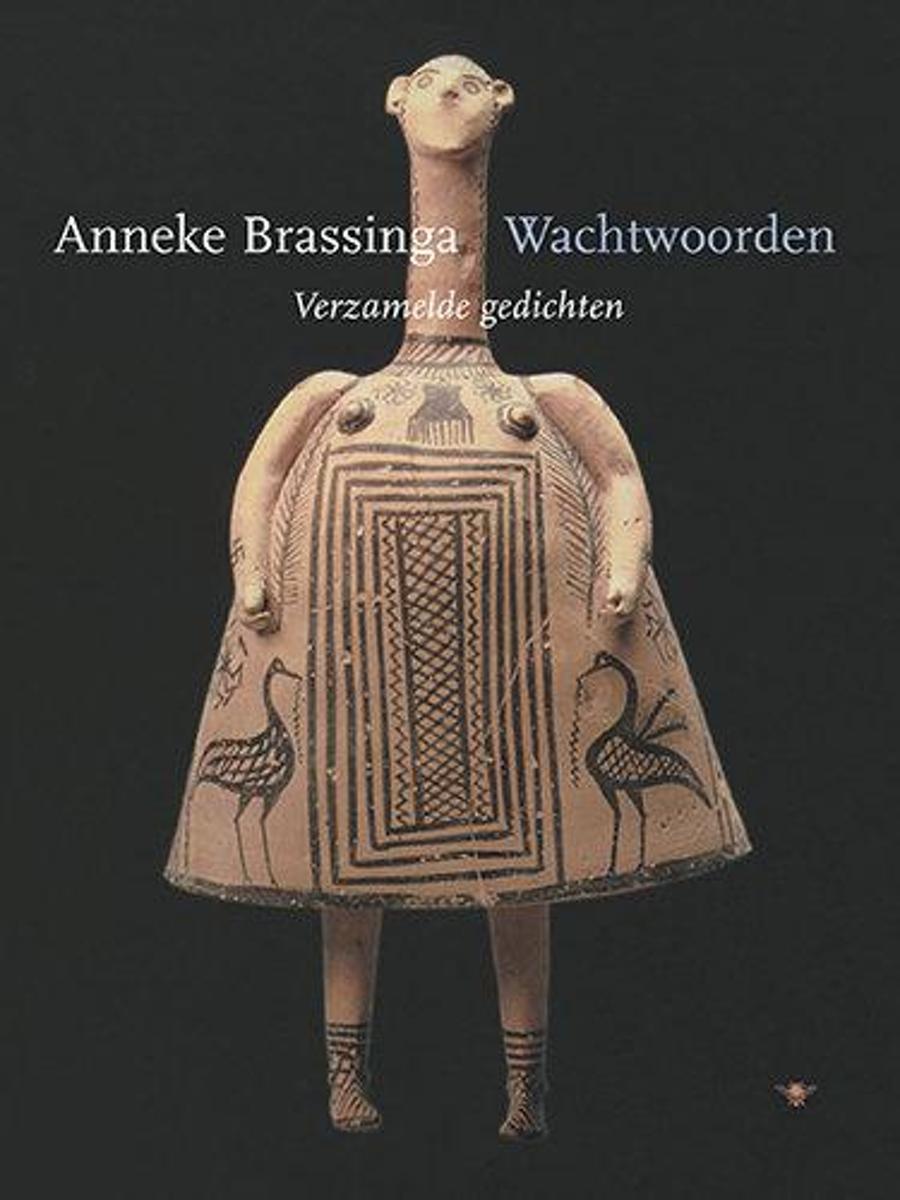Wachtwoorden