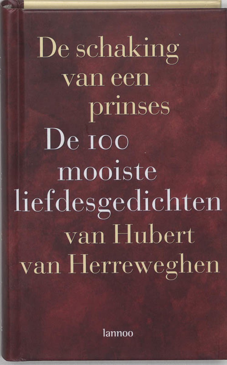 De schaking van een prinses