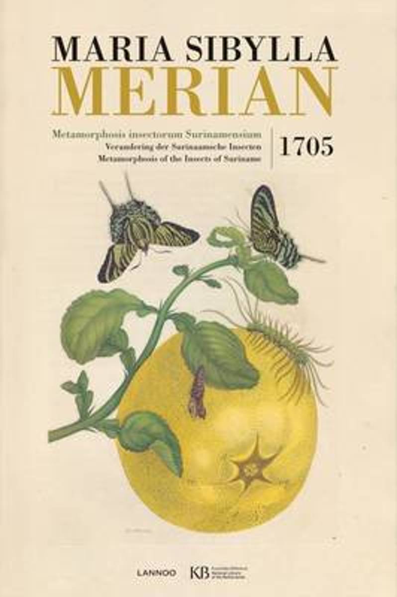 Maria Sibylla Merian. Metamorphosis insectorum Surinamensium