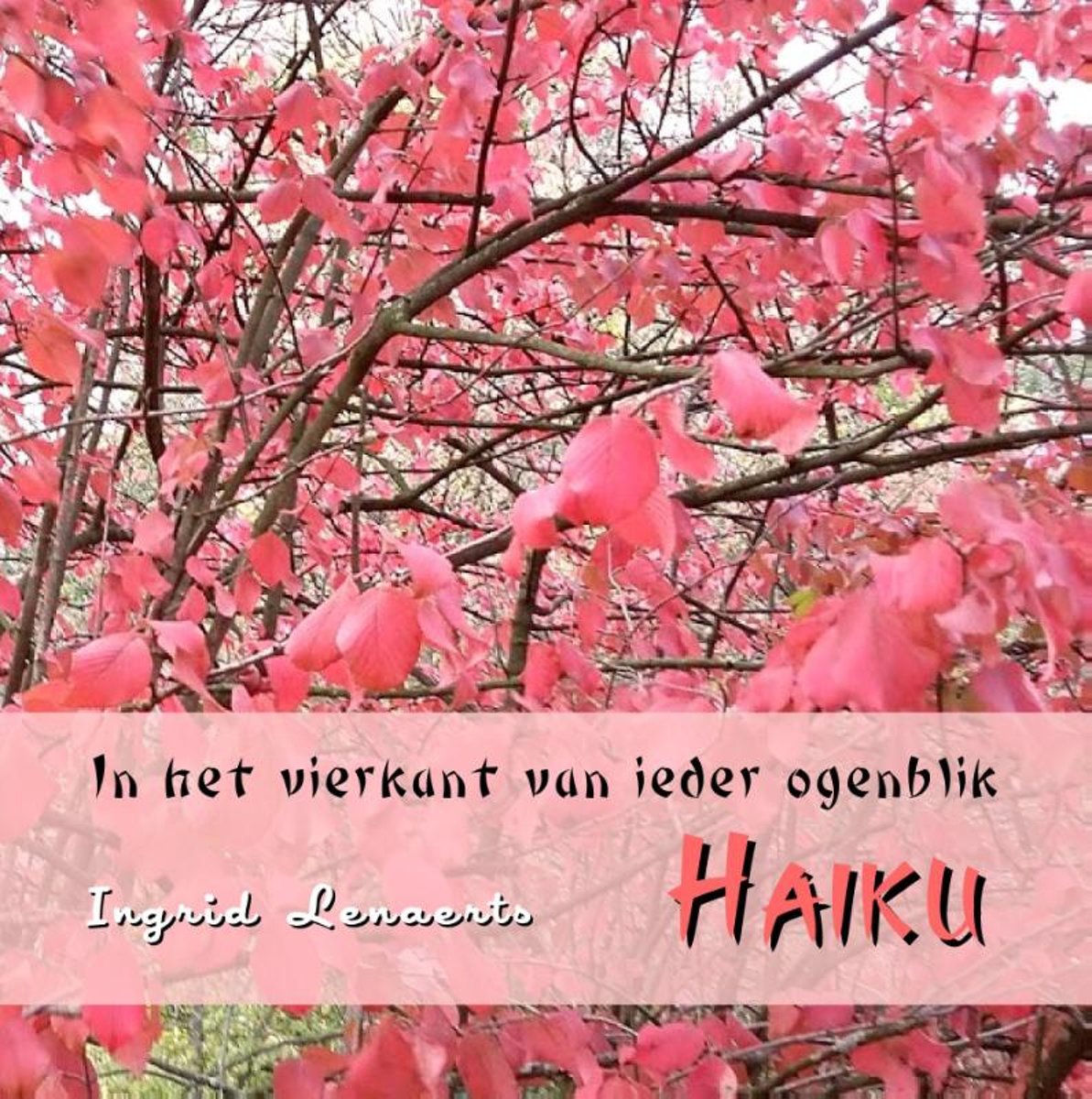 In het vierkant van ieder ogenblik