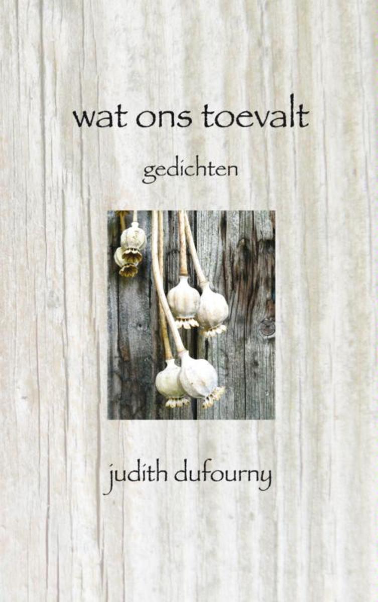 Wat ons toevalt