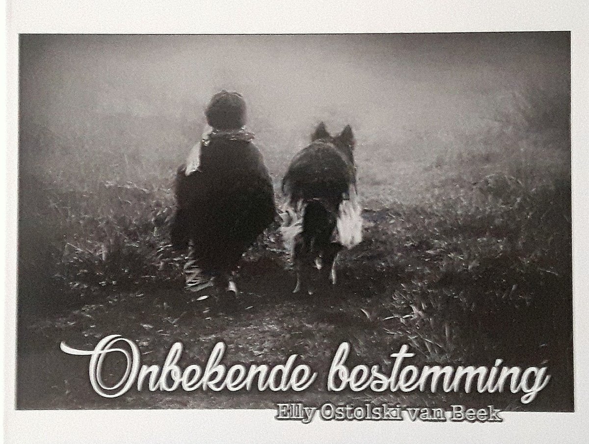 Onbekende Bestemming
