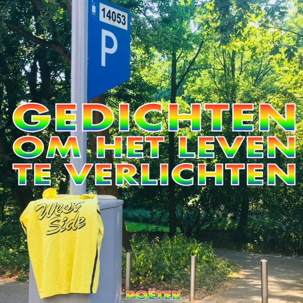GEDICHTEN OM HET LEVEN TE VERLICHTEN