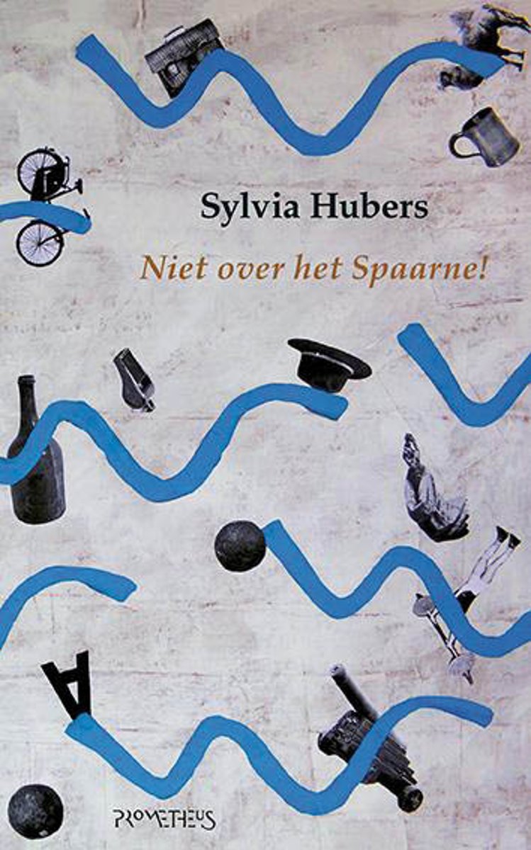 Niet over het Spaarne!