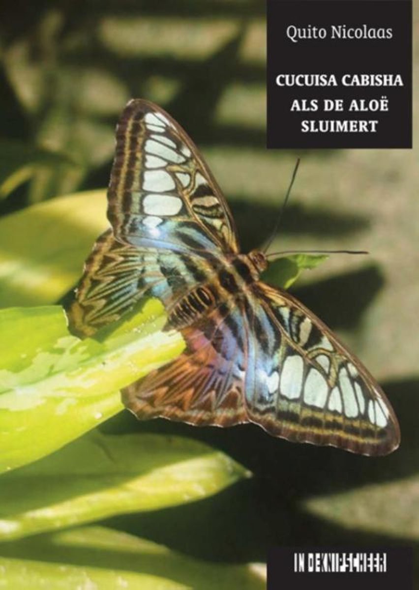 Cucuisa cabisha / Als de aloÃÂ« sluimert