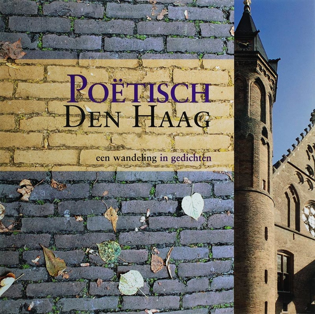 PoÃÂ«tisch Den Haag