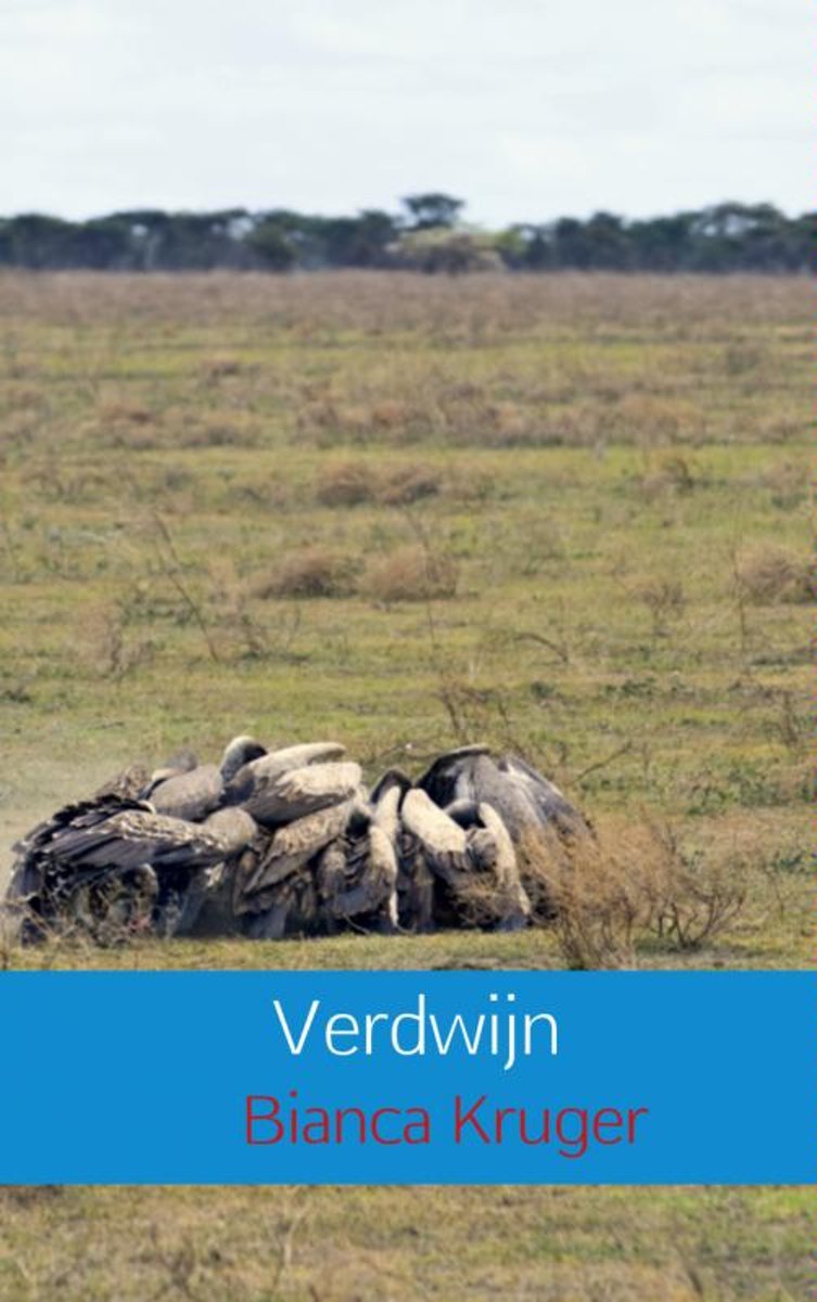 Verdwijn
