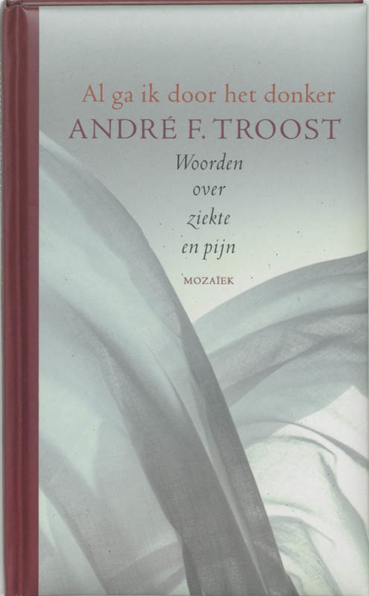 Al ga ik door het donker