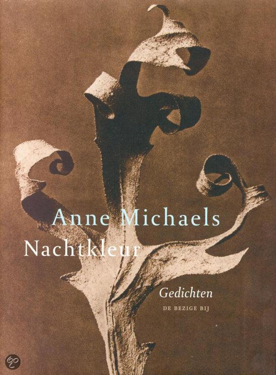 Nachtkleur