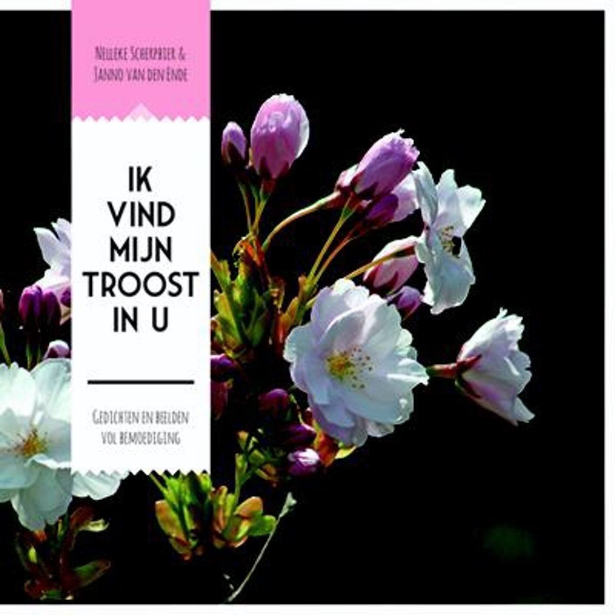 Ik vind mijn troost in U