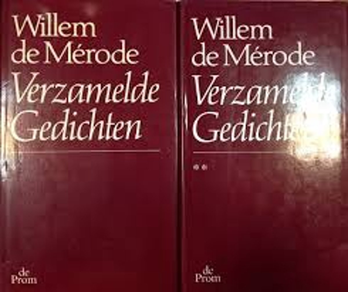 VERZAMELDE GEDICHTEN DEEL 2