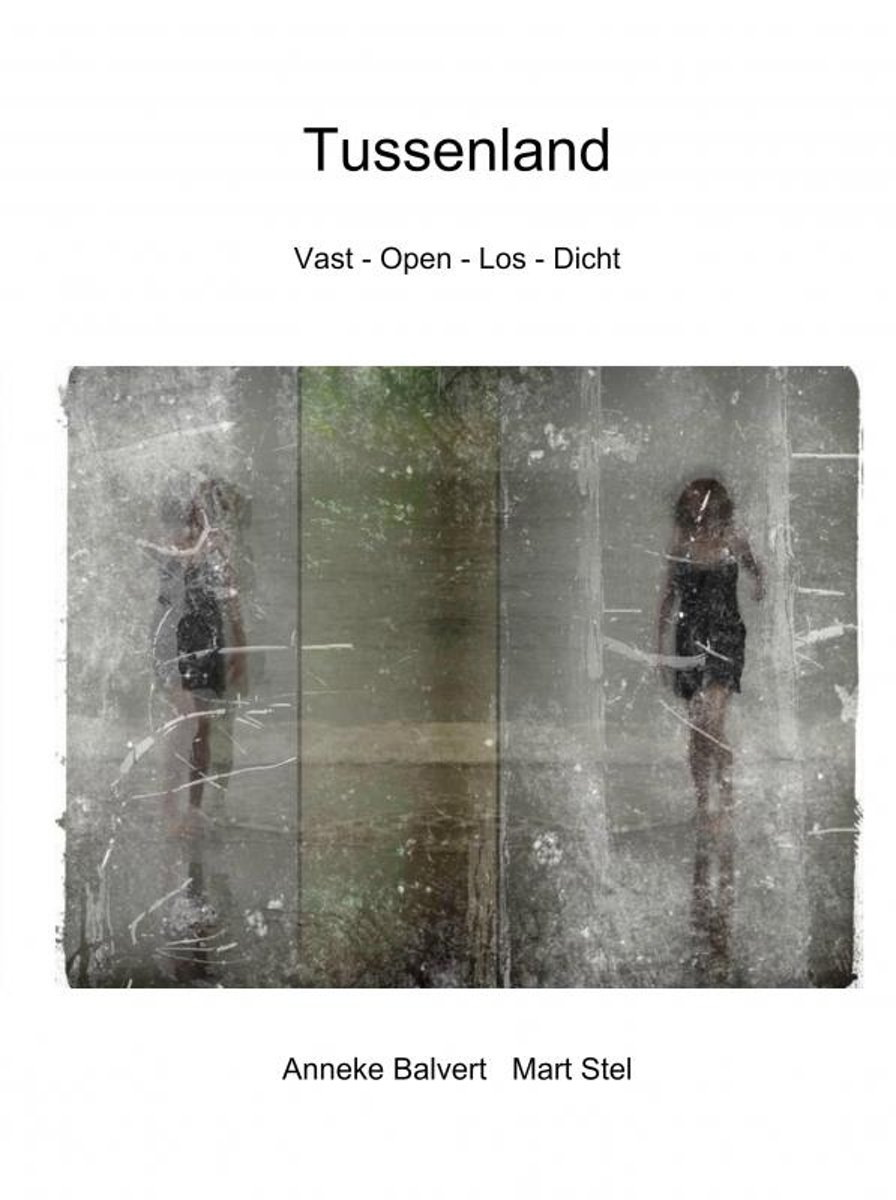 Tussenland